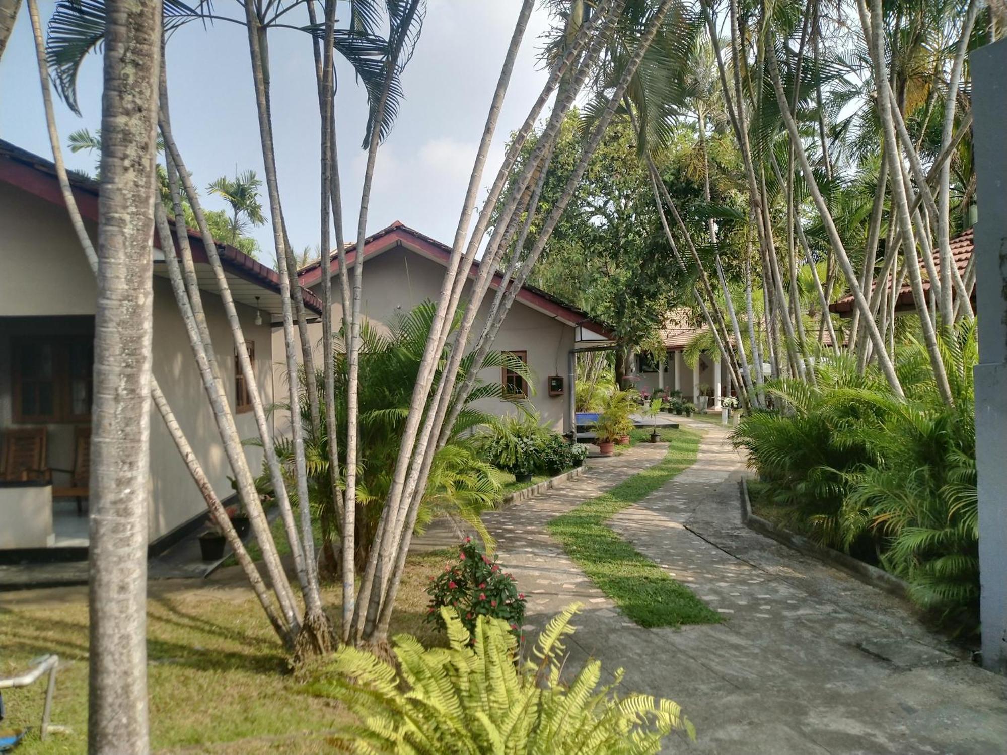 Blue Bell Hotel 尼甘布 外观 照片