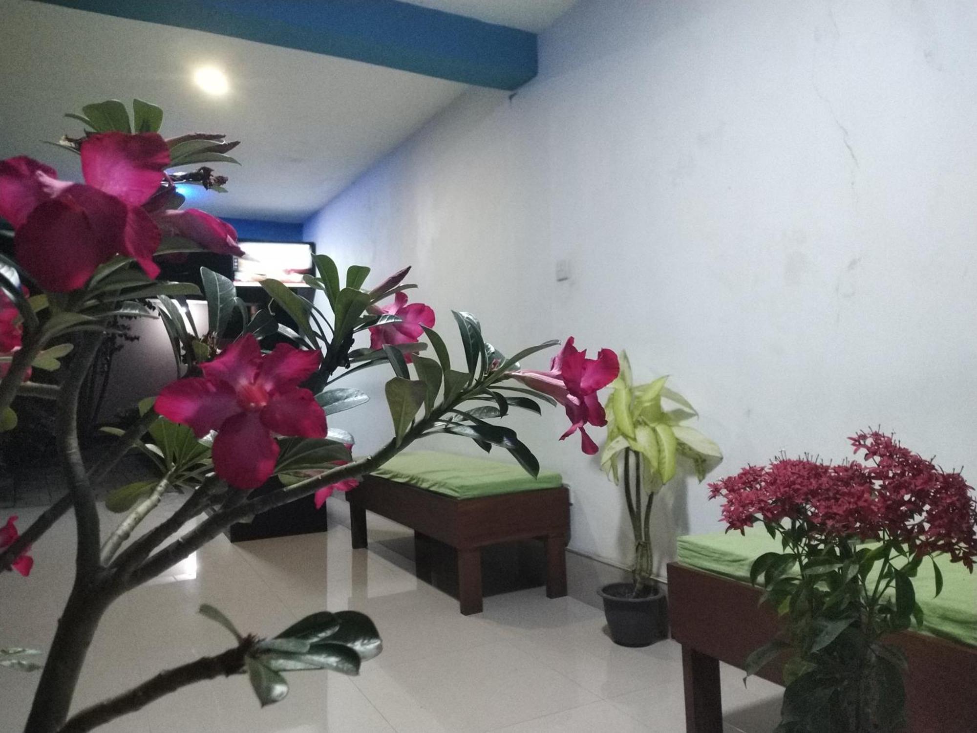 Blue Bell Hotel 尼甘布 外观 照片