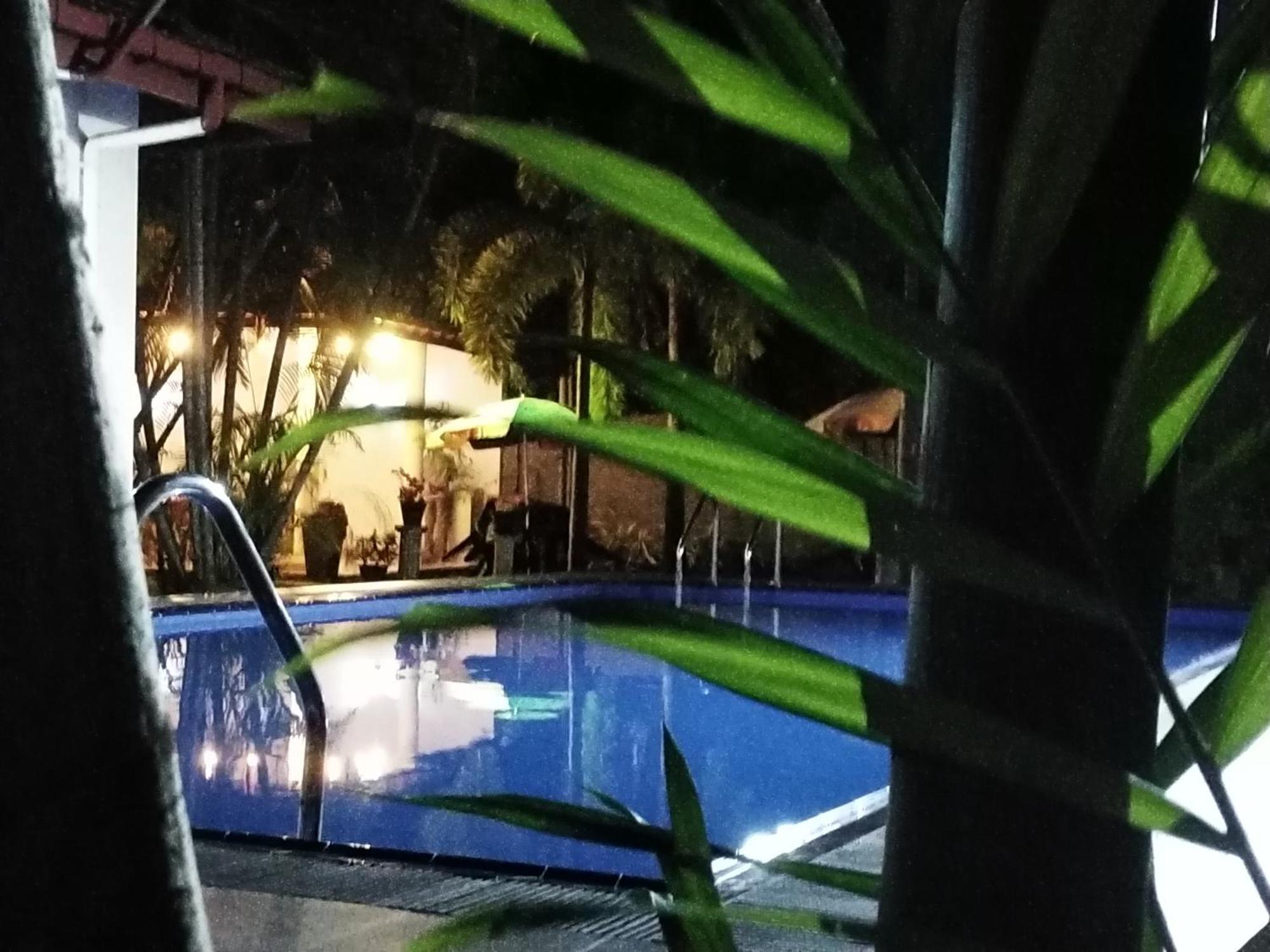 Blue Bell Hotel 尼甘布 外观 照片